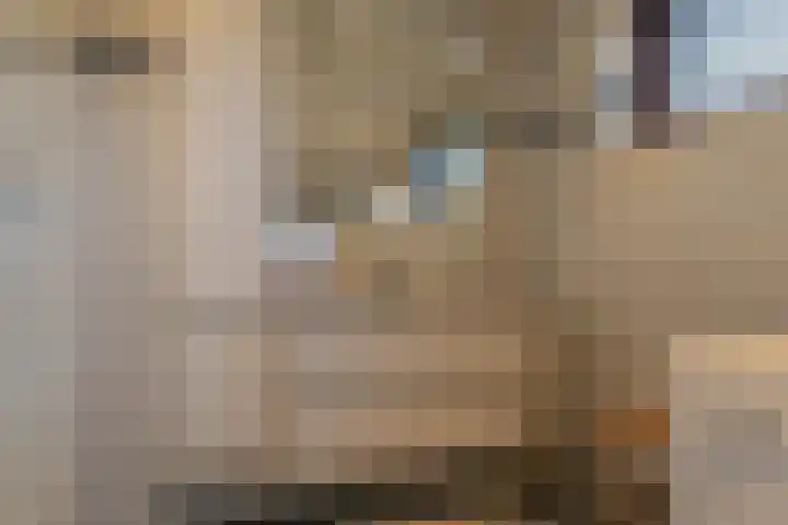Kerkweg 130 Ridderkerk thumbnail 25