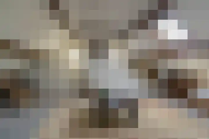 Kerkweg 130 Ridderkerk thumbnail 27