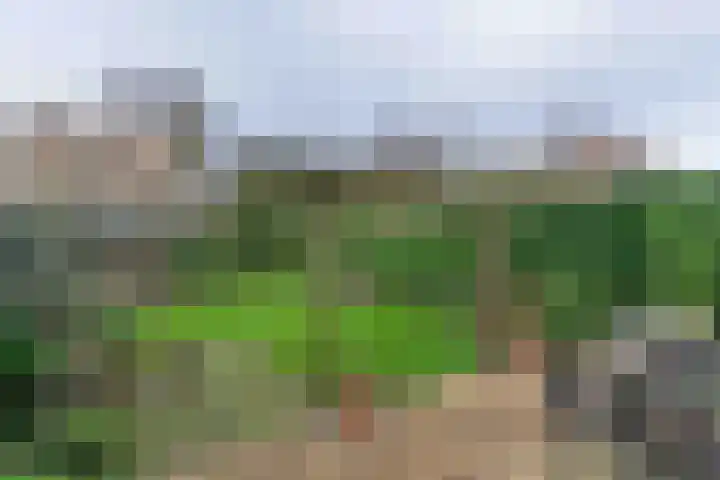 Kerkweg 130 Ridderkerk thumbnail 32