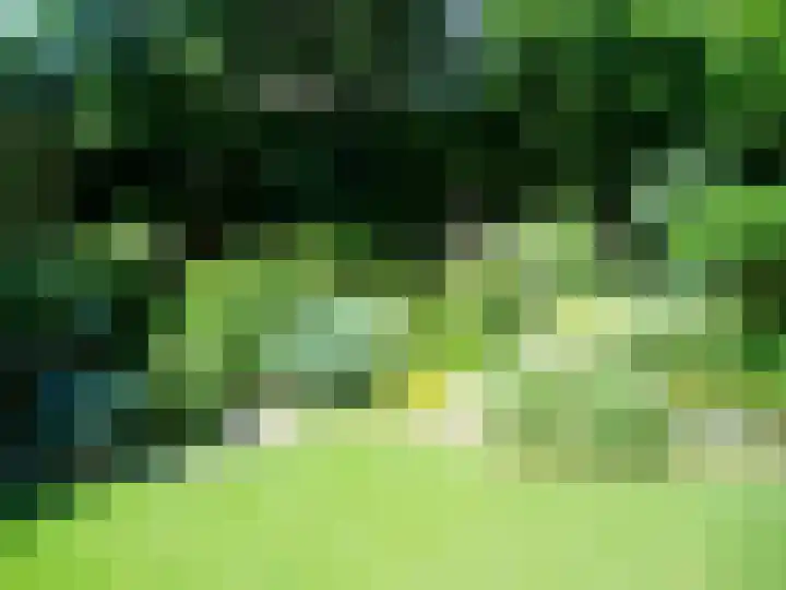 Kerkweg 130 Ridderkerk thumbnail 33