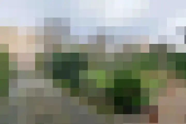 Kerkweg 130 Ridderkerk thumbnail 34