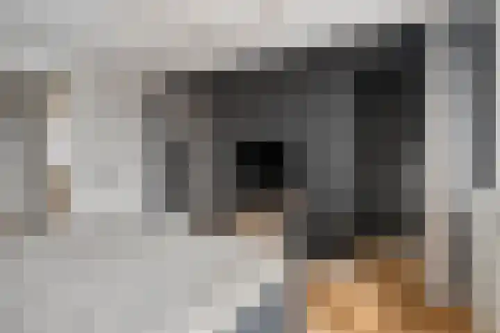 Kerkweg 132 Roelofarendsveen thumbnail 12