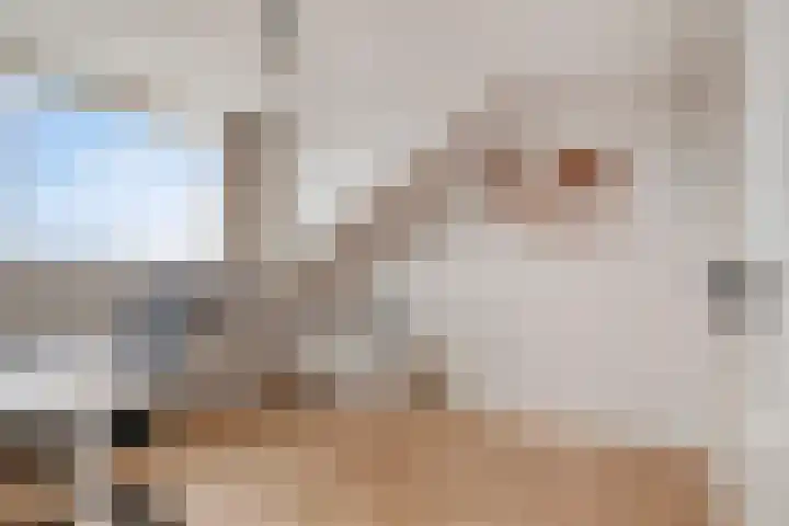Kerkweg 132 Roelofarendsveen thumbnail 19