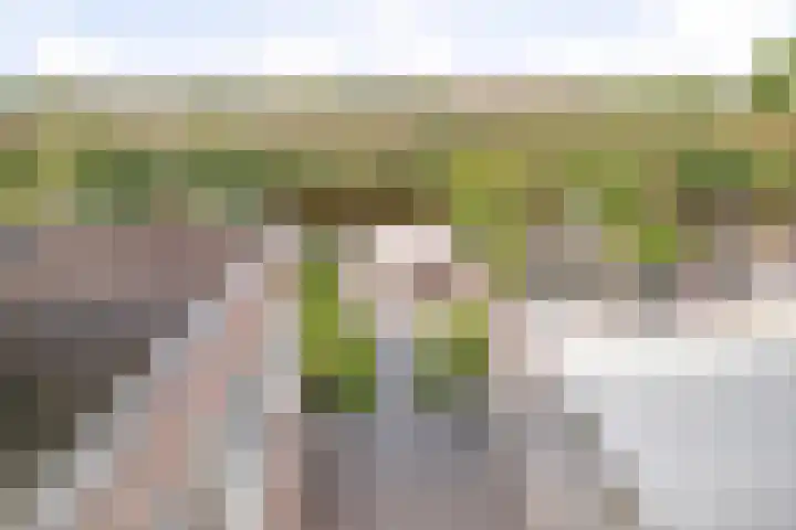 Kerkweg 132 Roelofarendsveen thumbnail 20