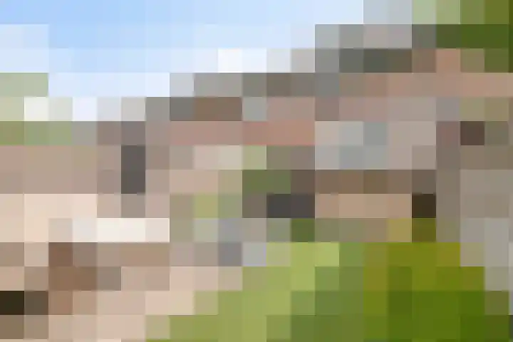 Kerkweg 132 Roelofarendsveen thumbnail 22