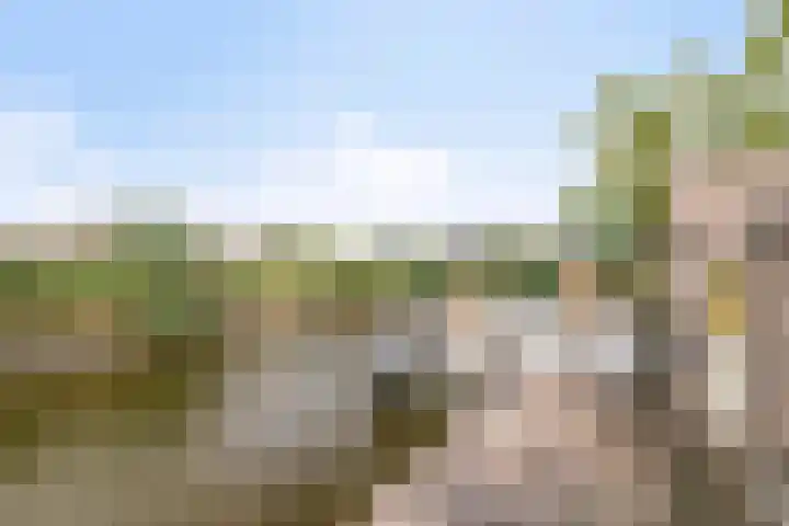 Kerkweg 132 Roelofarendsveen thumbnail 23