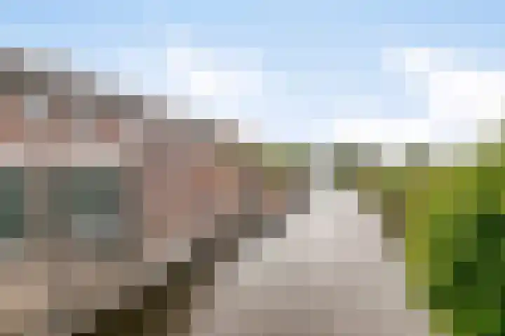 Kerkweg 132 Roelofarendsveen thumbnail 25