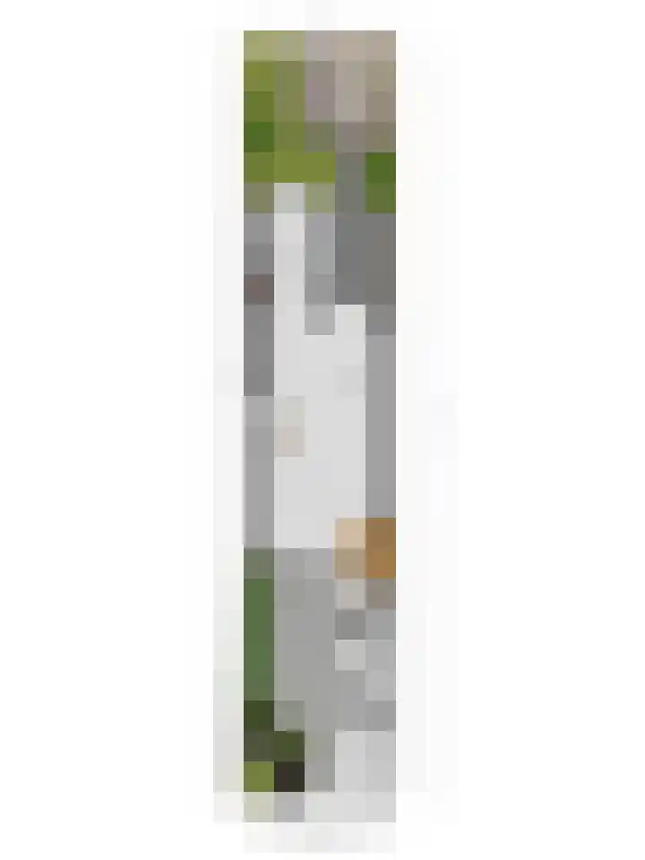 Kerkweg 132 Roelofarendsveen thumbnail 30
