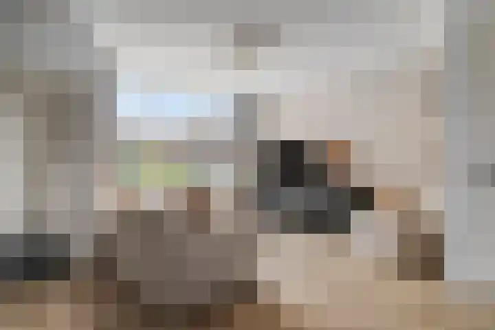 Kerkweg 132 Roelofarendsveen thumbnail 4