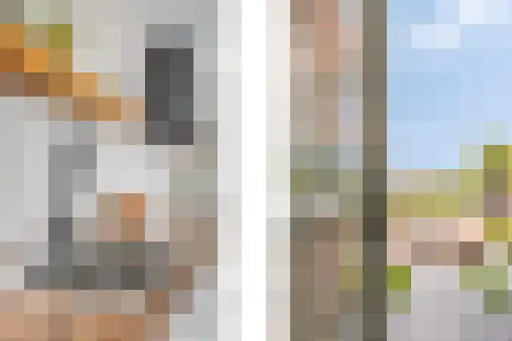 Kerkweg 132 Roelofarendsveen thumbnail 8