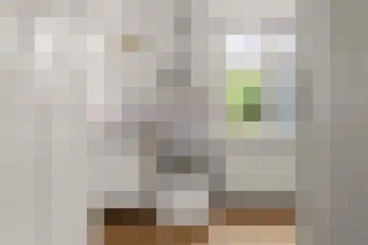Kerkweg 133 Lekkerkerk thumbnail 10