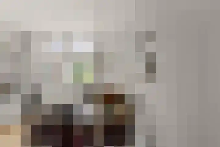 Kerkweg 133 Lekkerkerk thumbnail 14