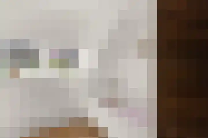 Kerkweg 133 Lekkerkerk thumbnail 19