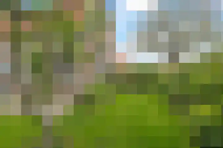 Kerkweg 133 Lekkerkerk thumbnail 30