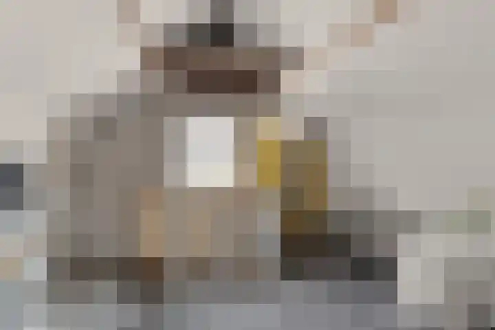 Kerkweg 133 Lekkerkerk thumbnail 38