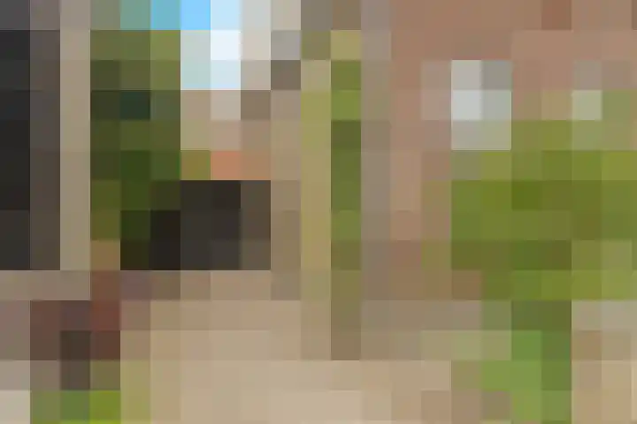 Kerkweg 133 Lekkerkerk thumbnail 40