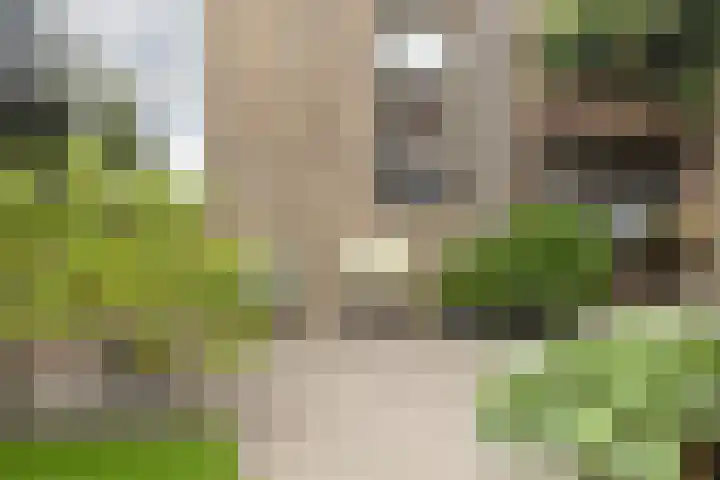 Kerkweg 133 Lekkerkerk thumbnail 41