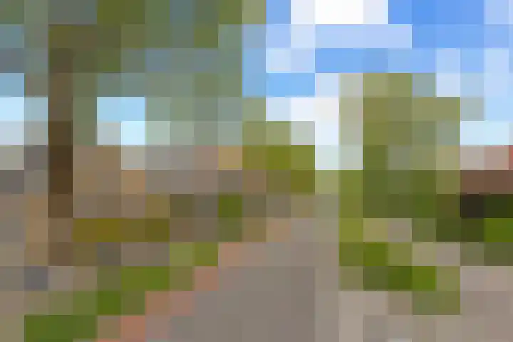Kerkweg 133 Lekkerkerk thumbnail 43