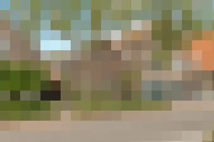 Kerkweg 133 Lekkerkerk thumbnail 45
