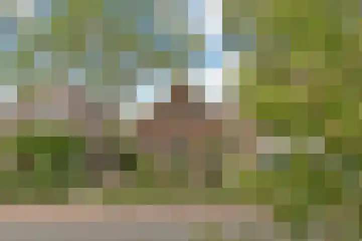 Kerkweg 133 Lekkerkerk thumbnail 52