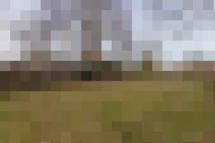 Kerkweg 137 Puth thumbnail 17