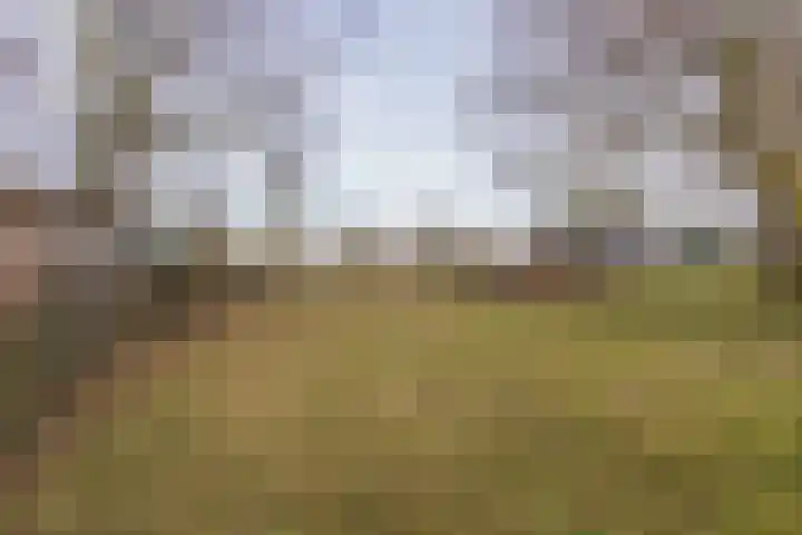 Kerkweg 137 Puth thumbnail 18