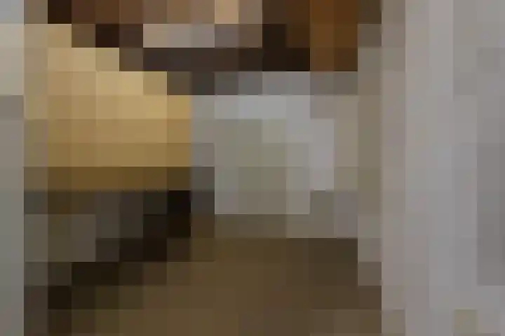 Kerkweg 137 Puth thumbnail 19