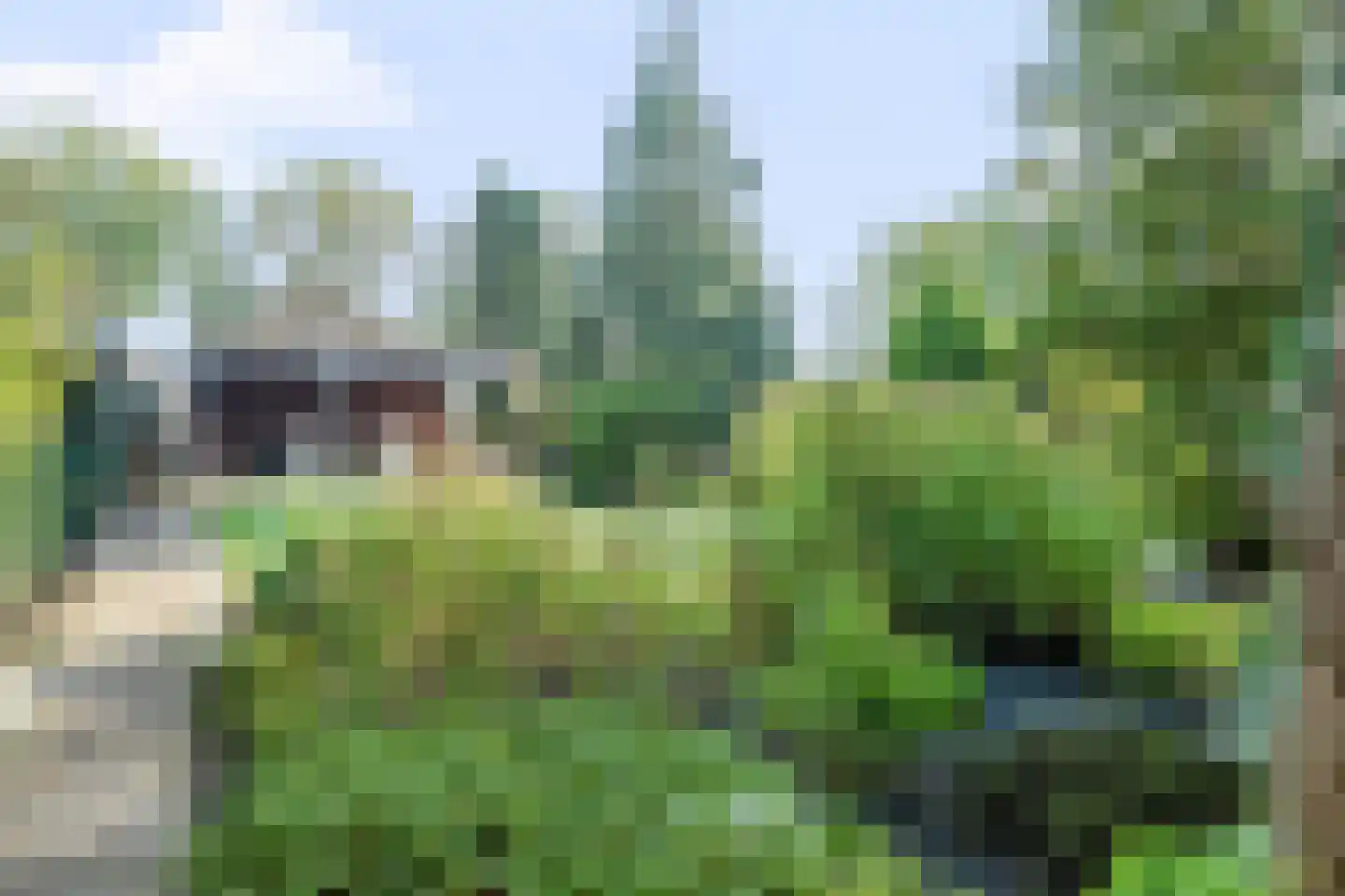 Kerkweg 139 Erica thumbnail 43