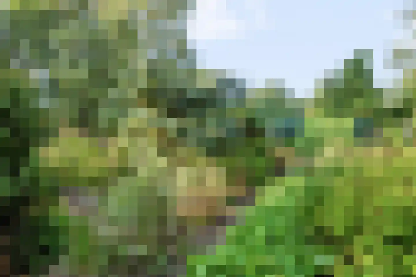 Kerkweg 139 Erica thumbnail 48