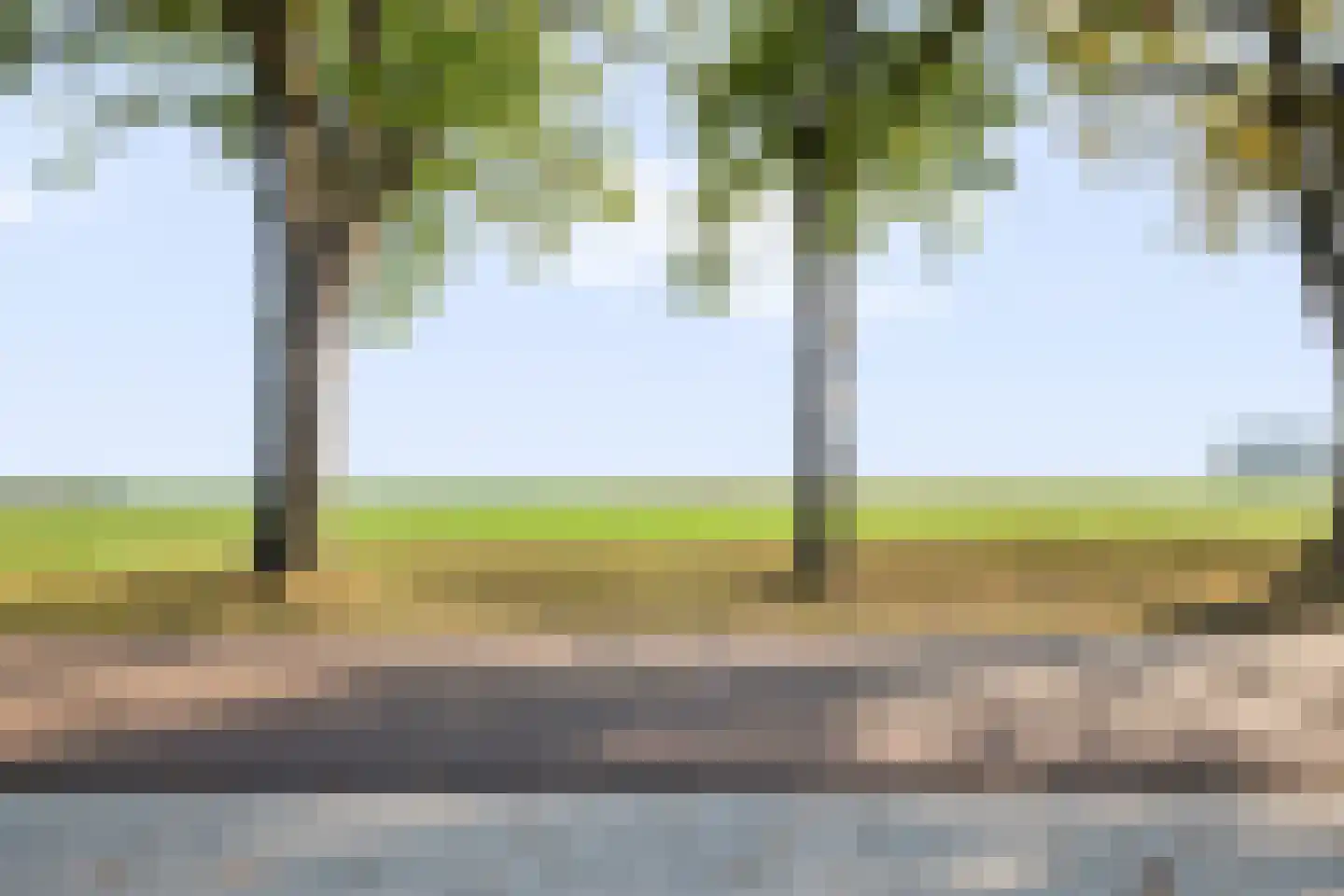Kerkweg 139 Erica thumbnail 49
