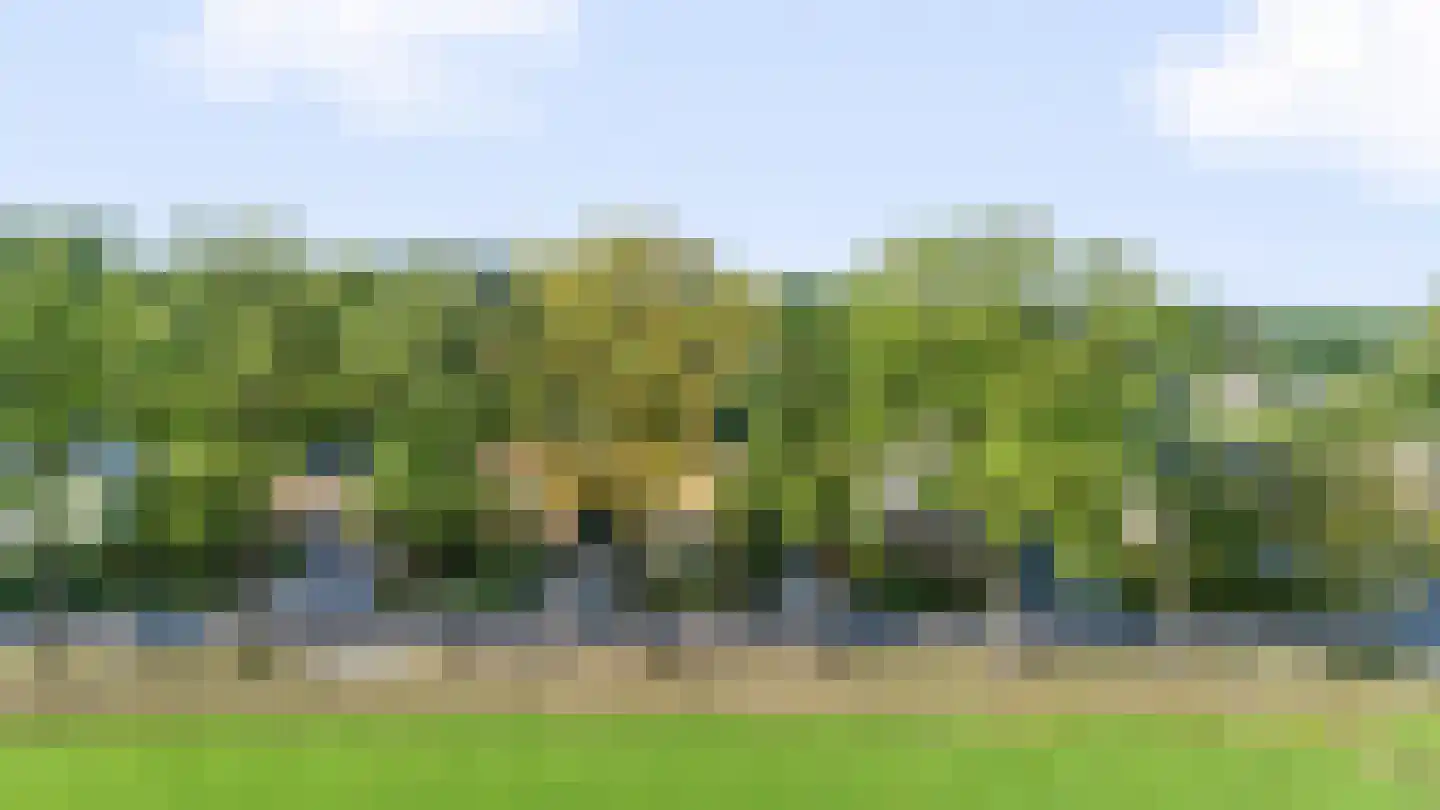 Kerkweg 139 Erica thumbnail 57