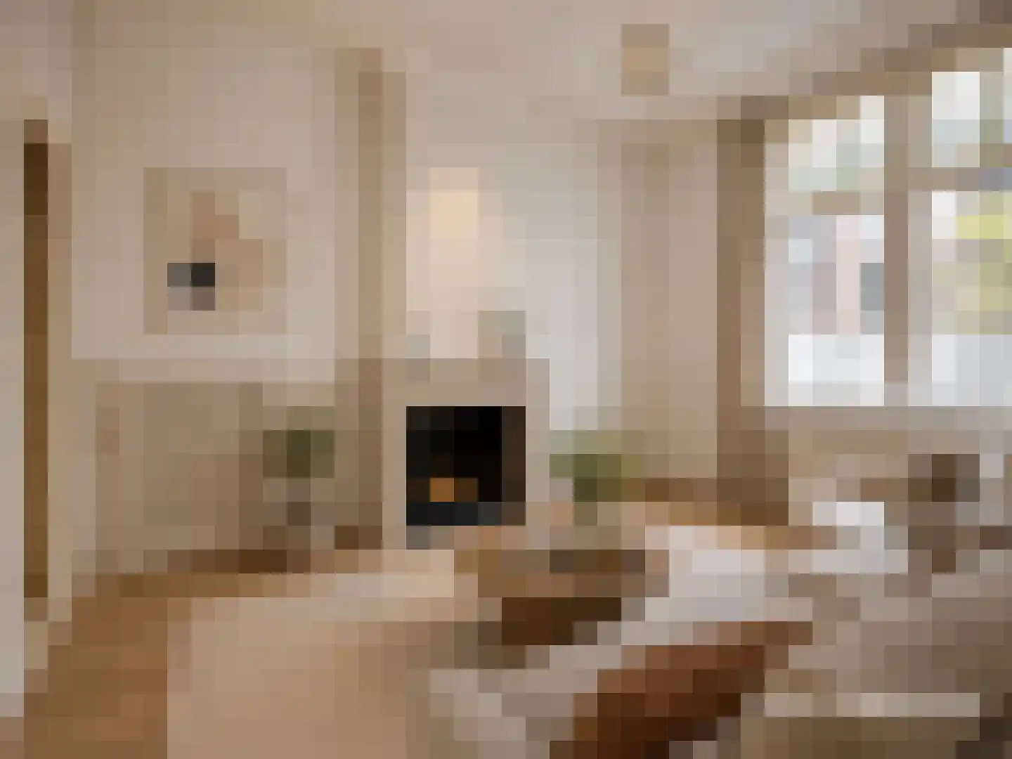 Kerkweg 14 Pijnacker thumbnail 6