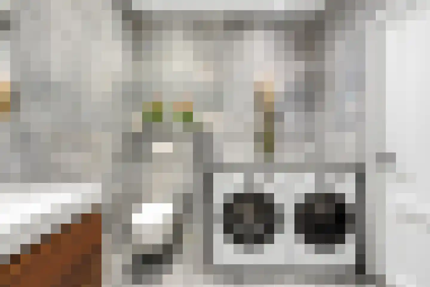 Kerkweg 14 Ridderkerk thumbnail 18