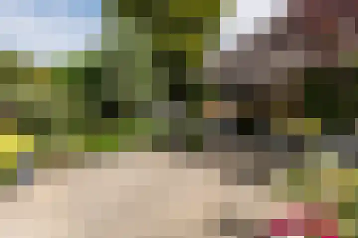 Kerkweg 14 Schiedam thumbnail 10