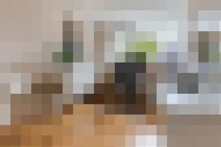Kerkweg 14 Schiedam thumbnail 24