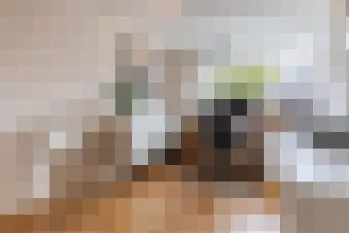 Kerkweg 14 Schiedam thumbnail 25