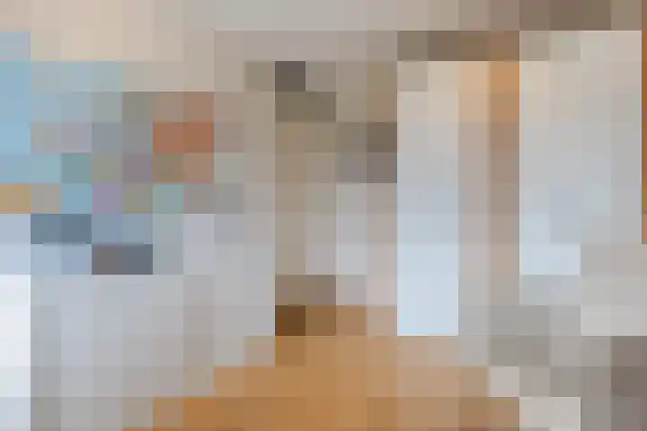 Kerkweg 14 Schiedam thumbnail 26