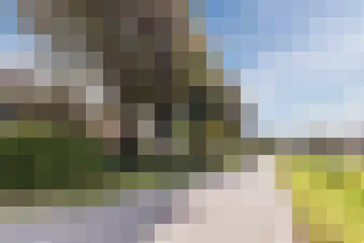 Kerkweg 14 Schiedam thumbnail 4