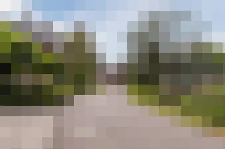 Kerkweg 14 Schiedam thumbnail 5