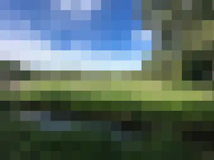Kerkweg 14 Schiedam thumbnail 6