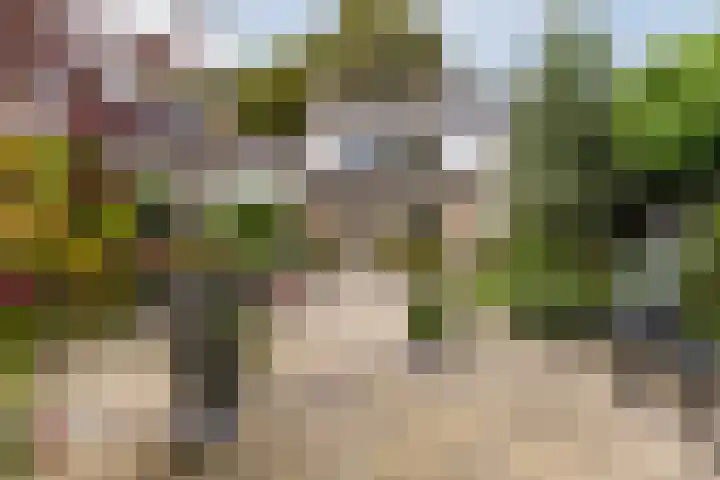 Kerkweg 14 Schiedam thumbnail 8