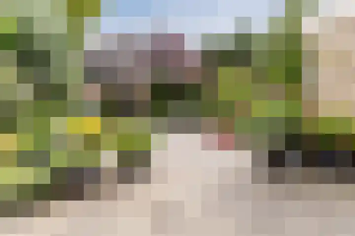 Kerkweg 14 Schiedam thumbnail 9