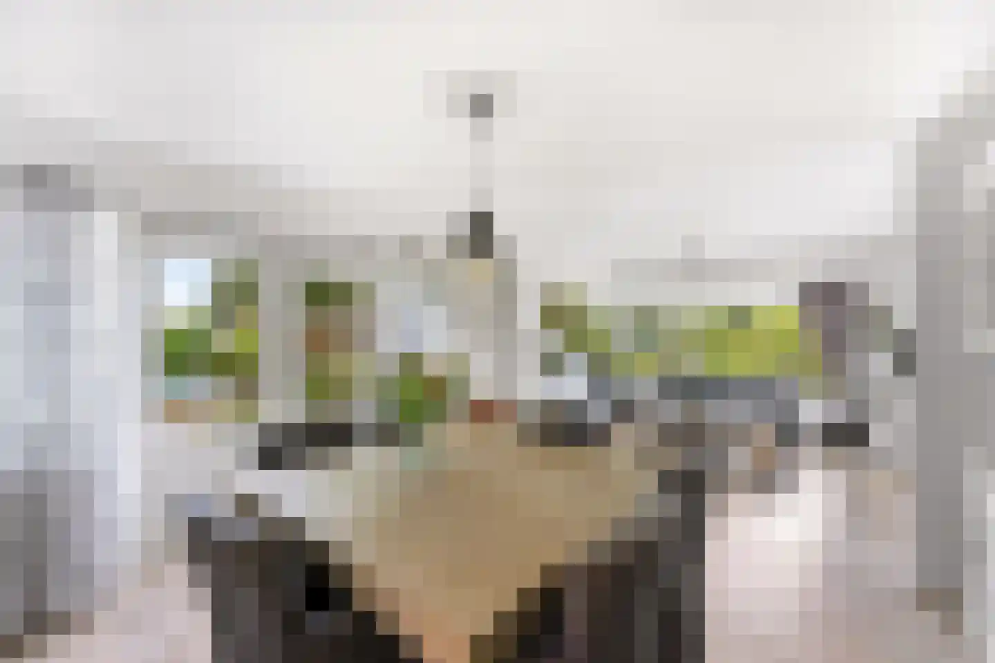 Kerkweg 140 Ridderkerk thumbnail 11