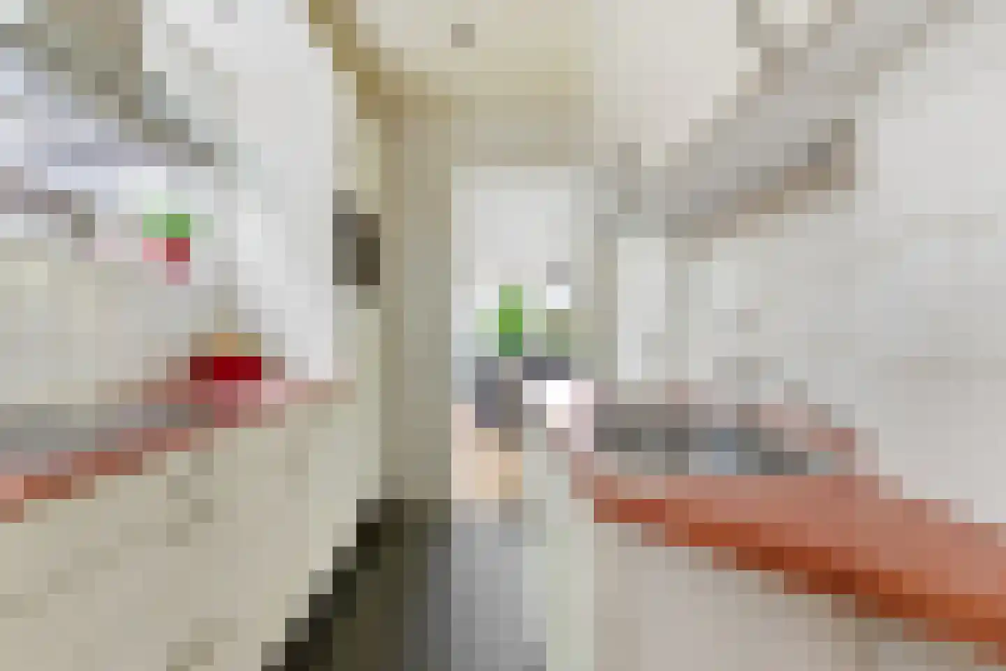Kerkweg 140 Ridderkerk thumbnail 13