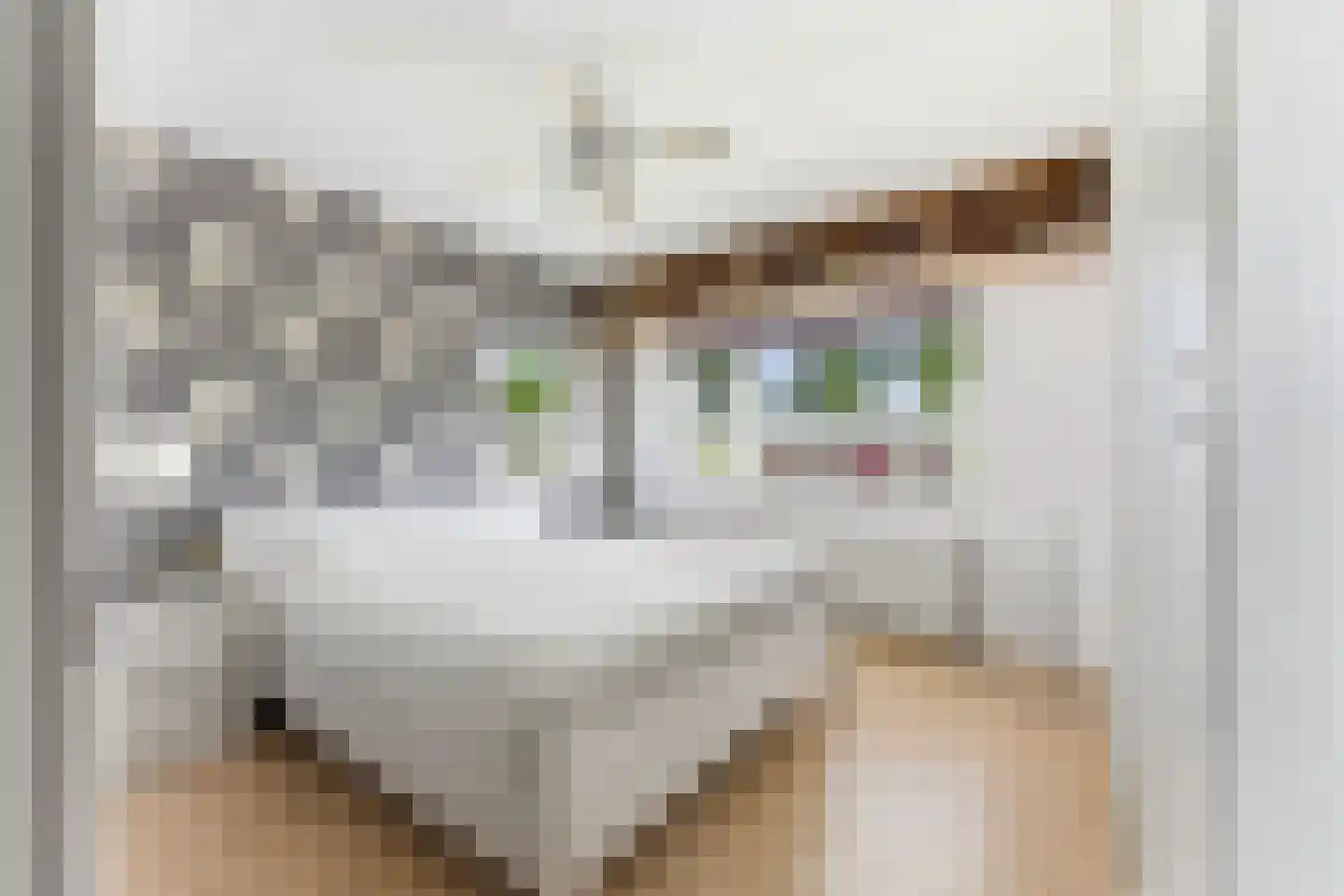 Kerkweg 140 Ridderkerk thumbnail 20