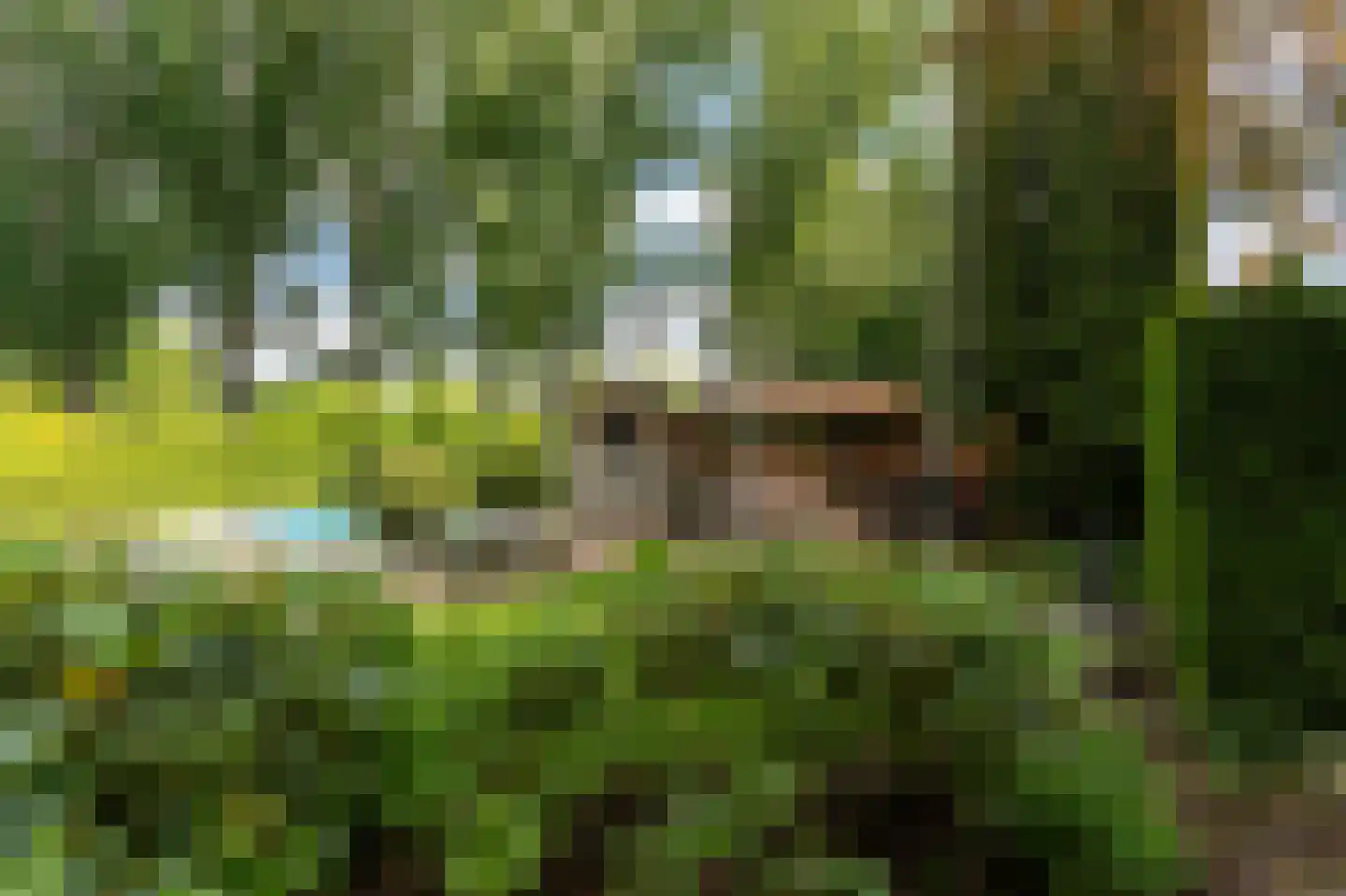 Kerkweg 140 Ridderkerk thumbnail 47
