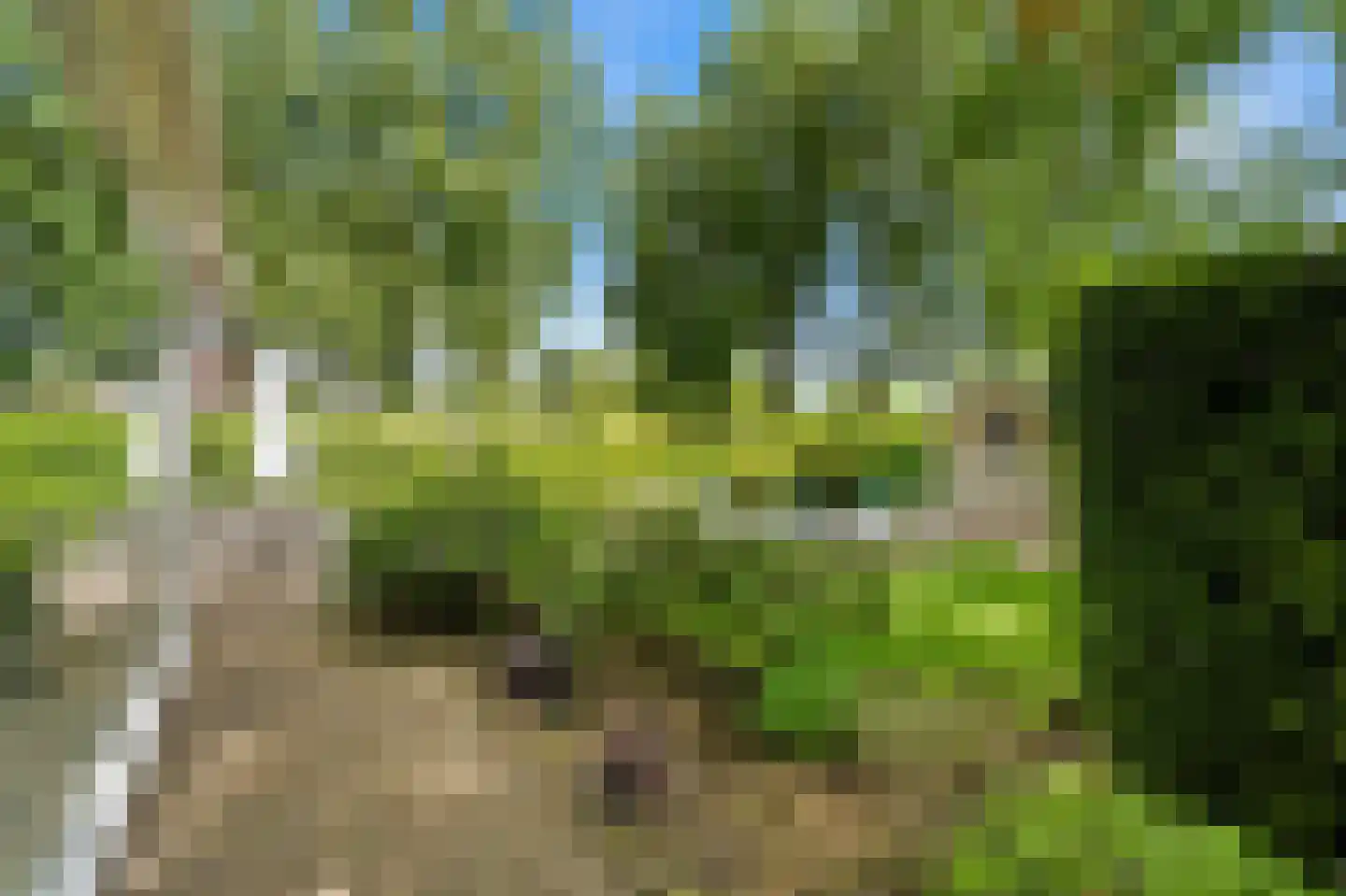 Kerkweg 140 Ridderkerk thumbnail 55