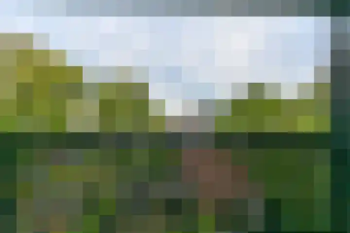 Kerkweg 142 Santpoort-Noord thumbnail 39