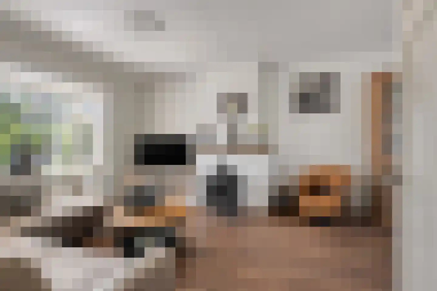 Kerkweg 147 Lekkerkerk thumbnail 10