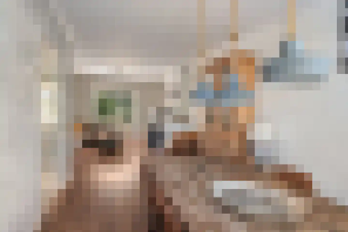 Kerkweg 147 Lekkerkerk thumbnail 16